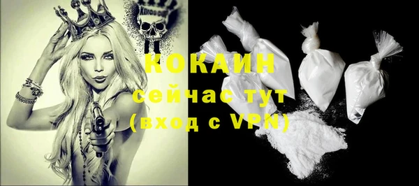 дживик Абинск