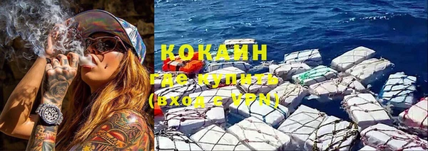 дживик Абинск
